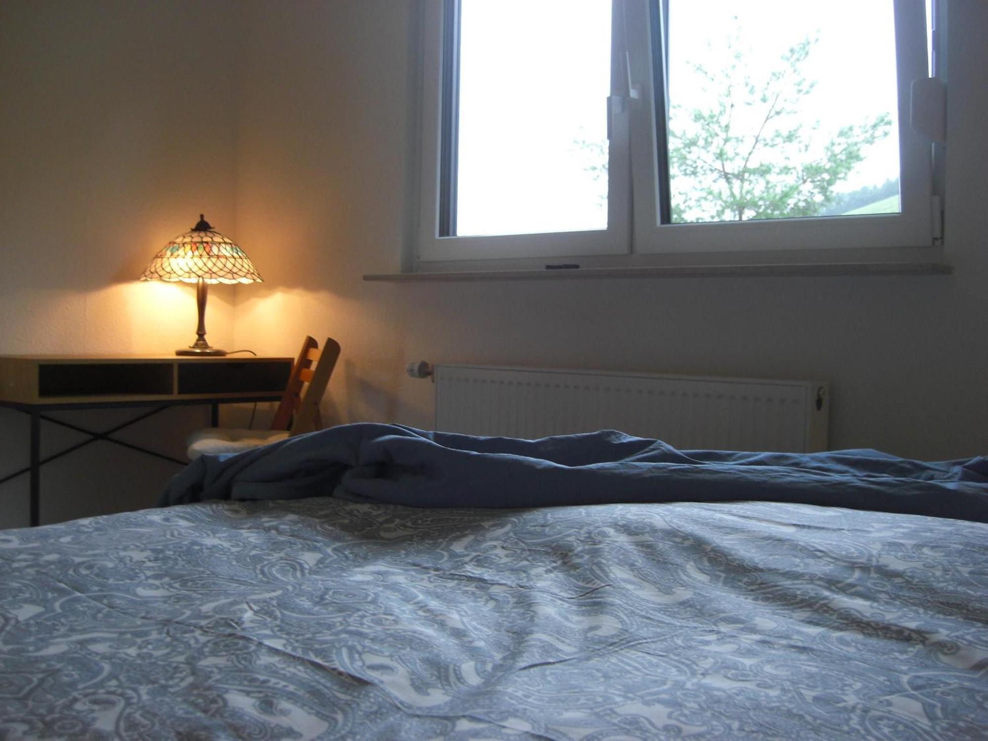Ferienwohnung Alter Weinberg Saarburg Ngoại thất bức ảnh