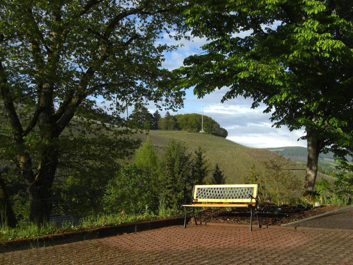 Ferienwohnung Alter Weinberg Saarburg Ngoại thất bức ảnh