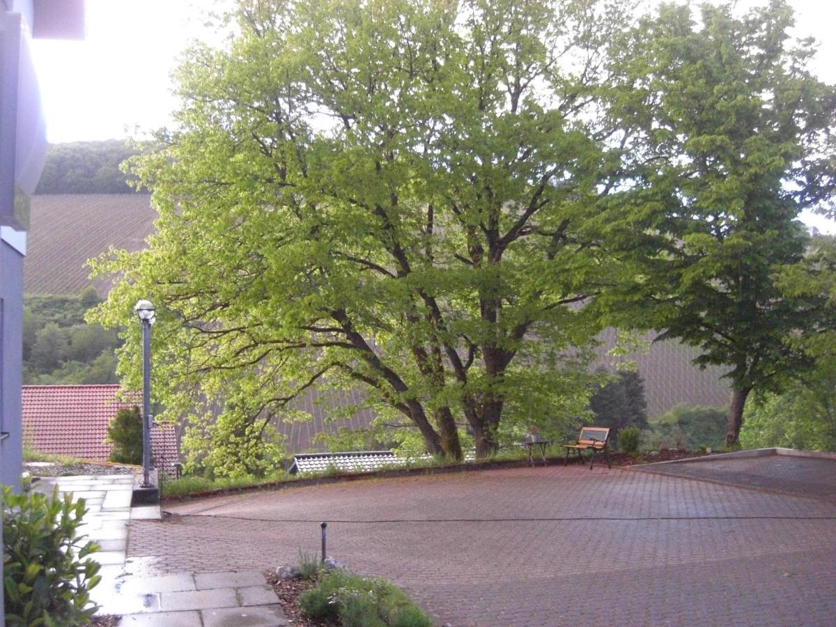 Ferienwohnung Alter Weinberg Saarburg Ngoại thất bức ảnh
